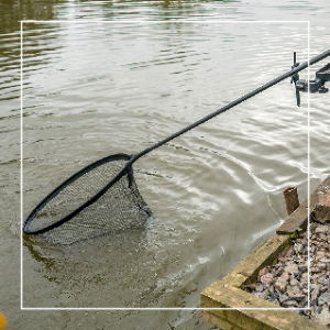 Landing Net Handles